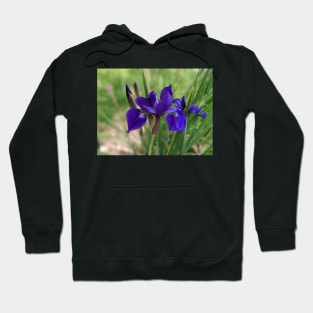 Dark Purple Flower Photographic Image Hoodie